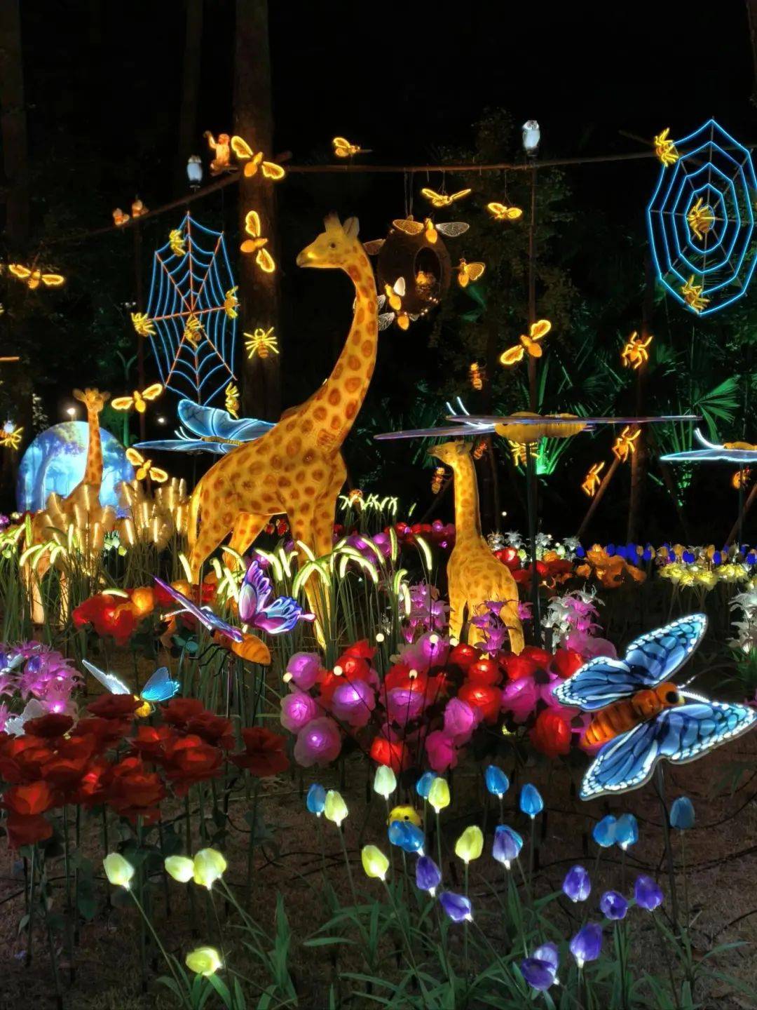 亚盈体育APP年味满满福州亮起来了(图8)
