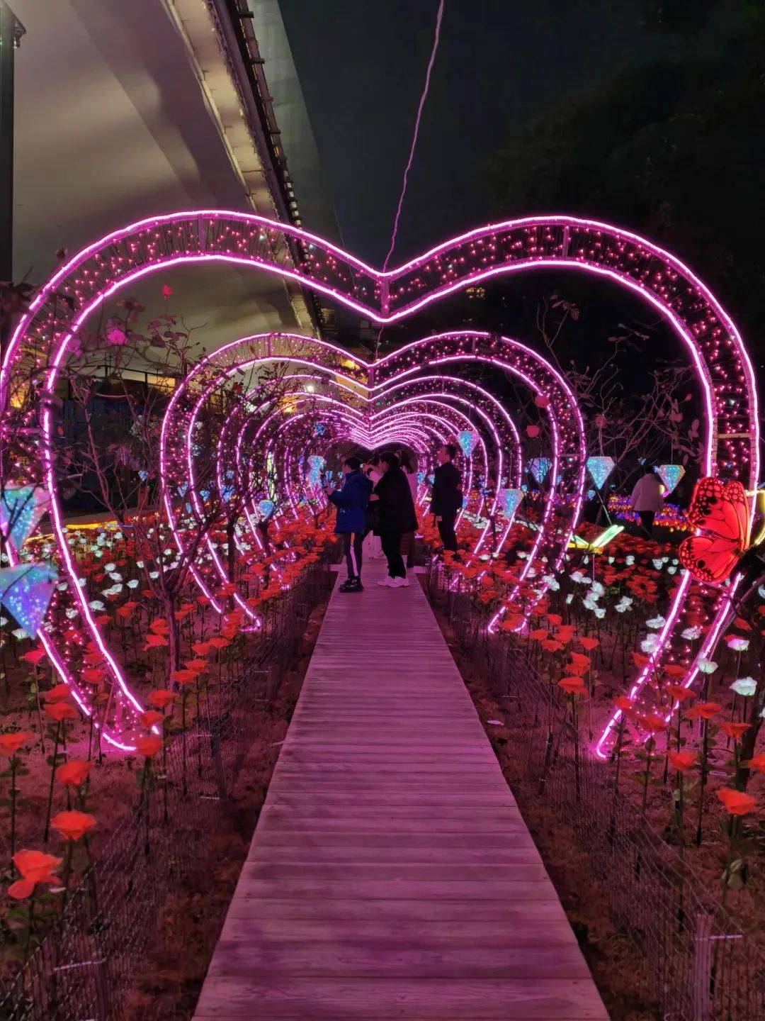 亚盈体育APP年味满满福州亮起来了(图16)