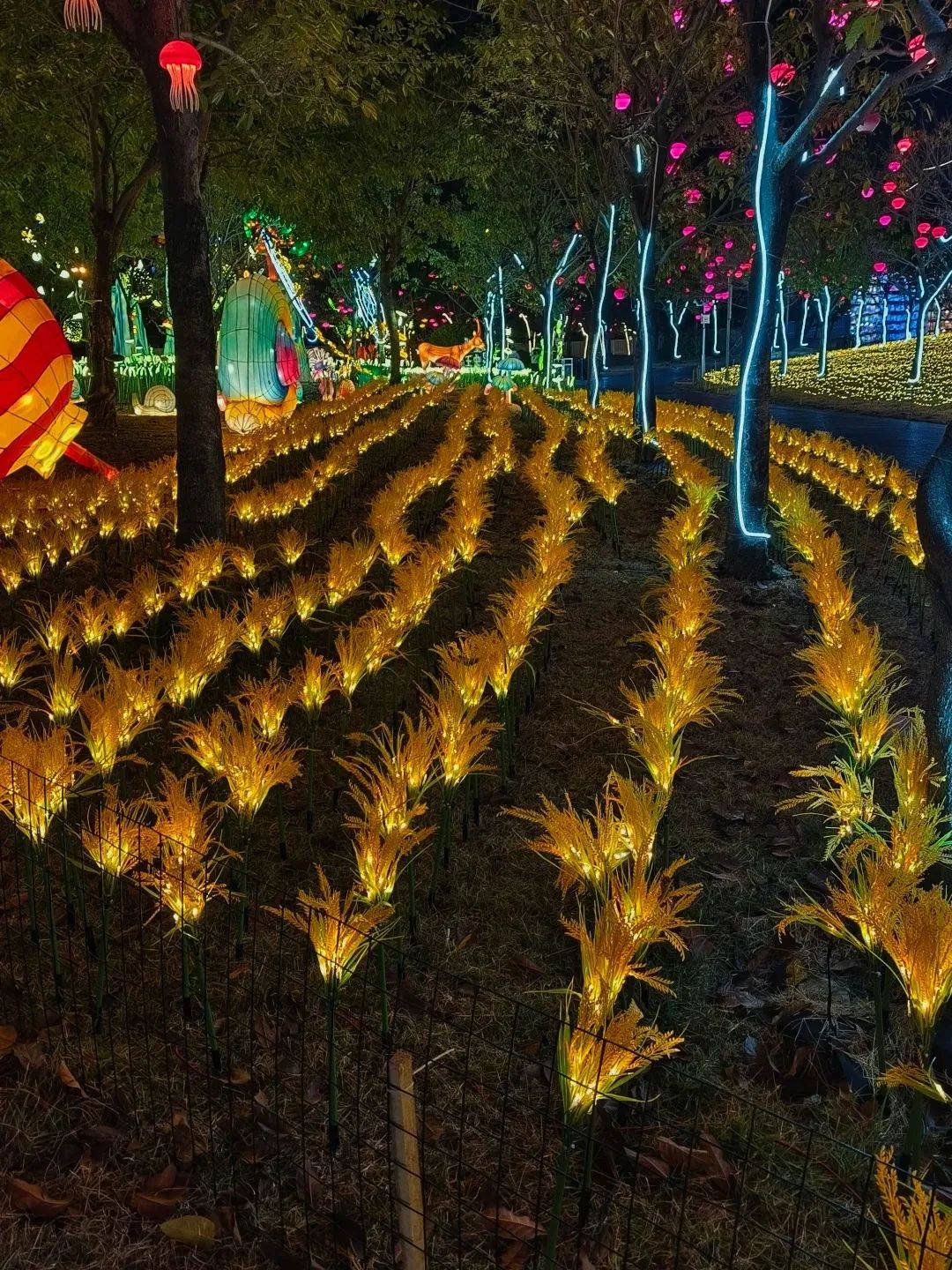 亚盈体育APP年味满满福州亮起来了(图21)