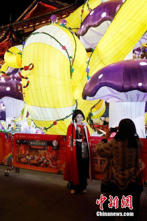 亚盈体育APP上海：游客大年初一豫园赏灯(图5)