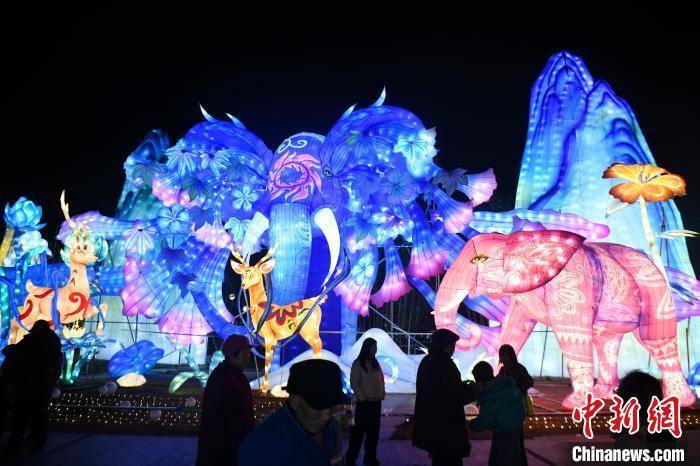 新春见闻）成都金沙太阳节璀璨灯组吸引民众(图3)