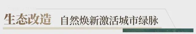 城市中轴新地标保利灯湖天珺以巅峰交付重塑城市格局(图6)