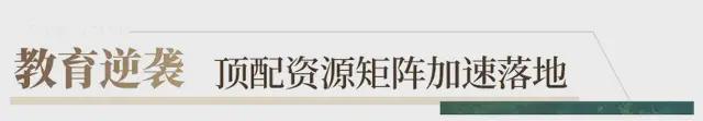 城市中轴新地标保利灯湖天珺以巅峰交付重塑城市格局(图9)