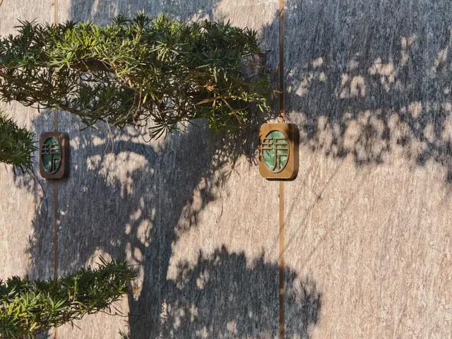 城市中轴新地标保利灯湖天珺以巅峰交付重塑城市格局(图13)