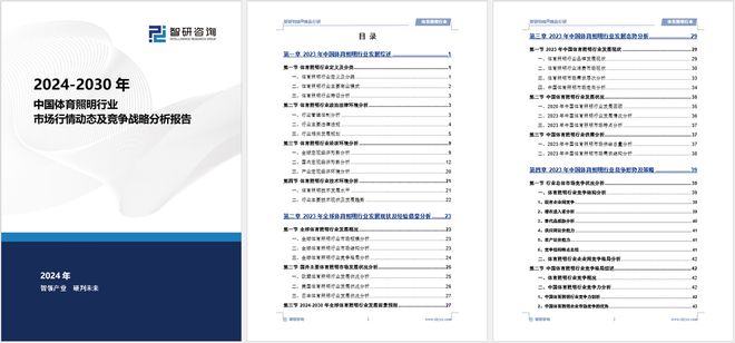 中国体育照明行业市场分析及投资前景预测报告—智研咨询发布(图5)
