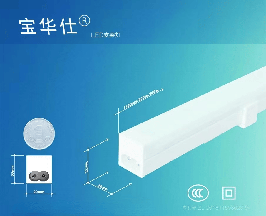 中山何以灯光璀璨？(图2)