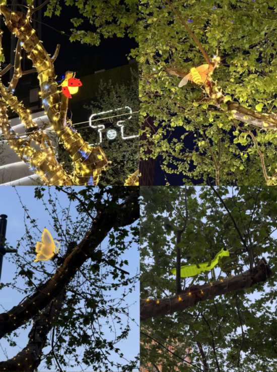 淮海中路东段树灯焕新 循光见花点亮城市浪漫(图3)